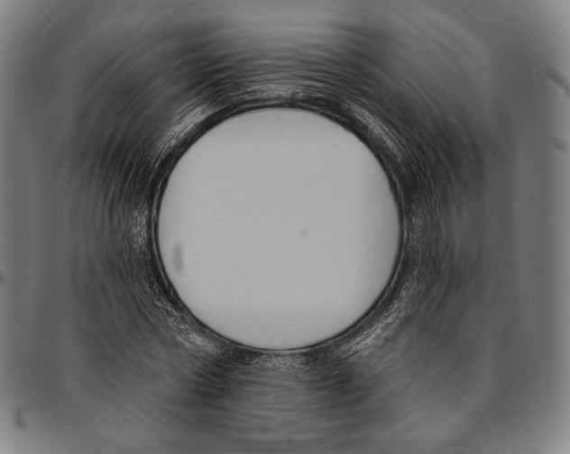 X0000095110778200801041159
