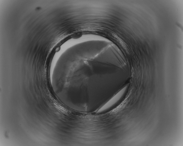 X0000095110779200801041159