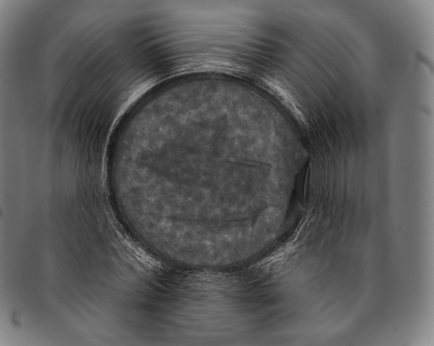 X0000095110780200801041159