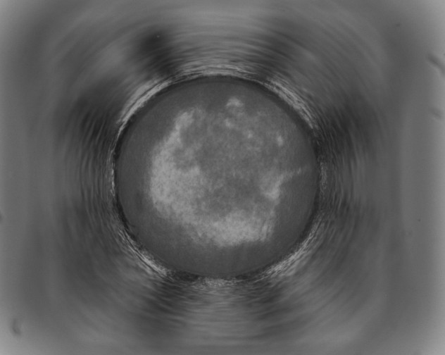 X0000095110782200801041159