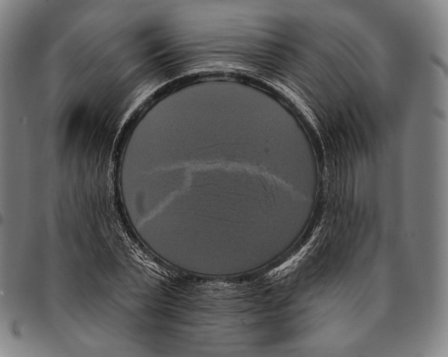X0000095110783200801041159