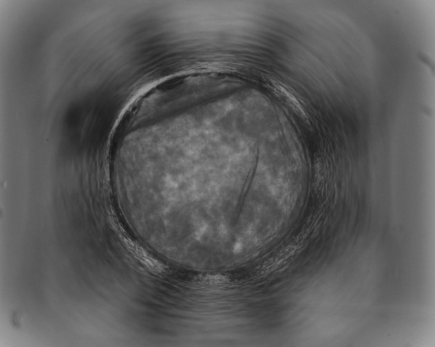 X0000095110784200801041159