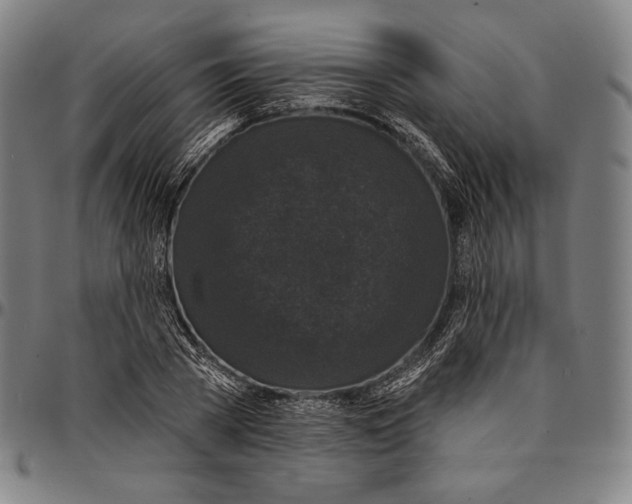 X0000095110785200801041159