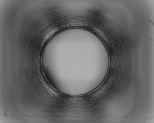 X0000095110786200801041159