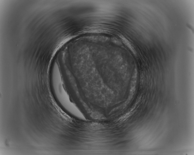 X0000095110787200801041159