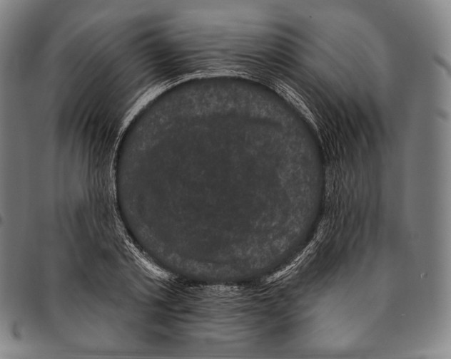 X0000095110789200801041159