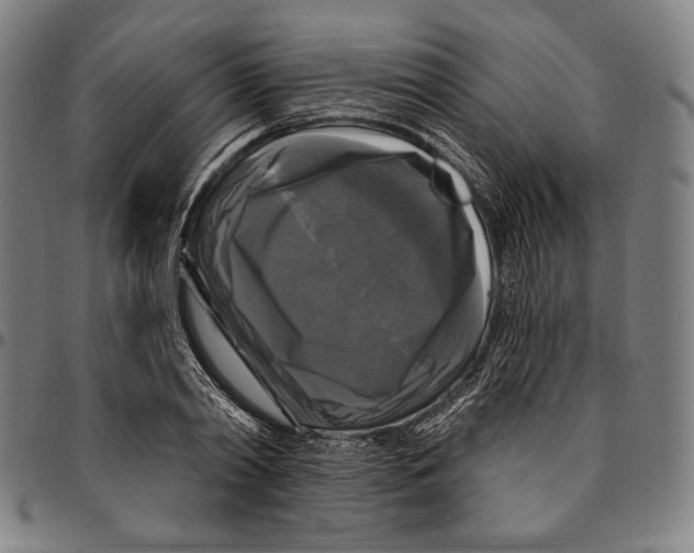 X0000095110790200801041159
