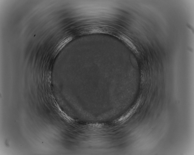 X0000095110793200801041159
