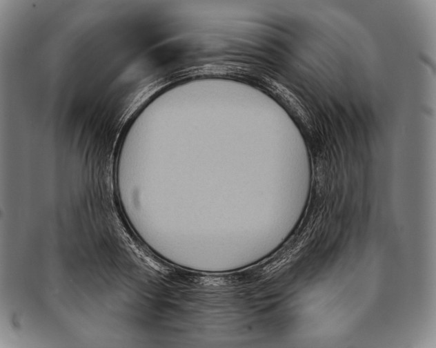 X0000095110794200801041159