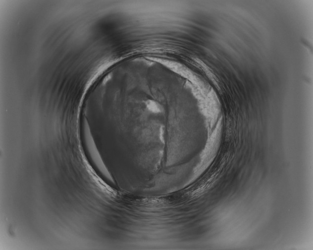X0000095110795200801041159