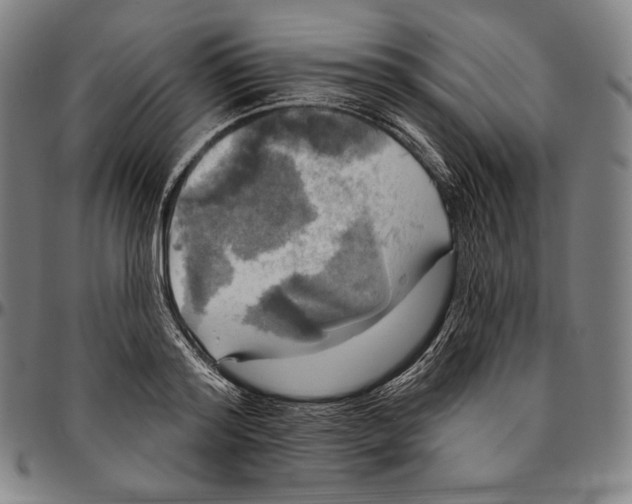 X0000095110796200801041159