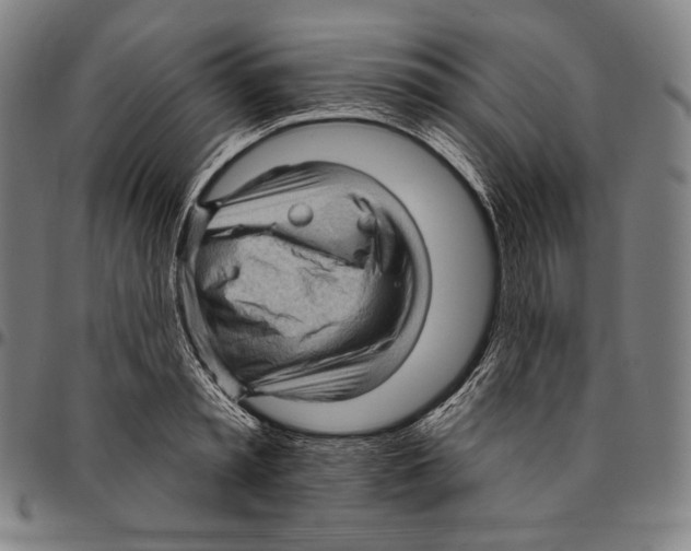 X0000095110797200801041159