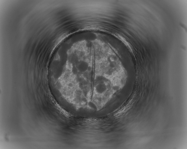 X0000095110799200801041159