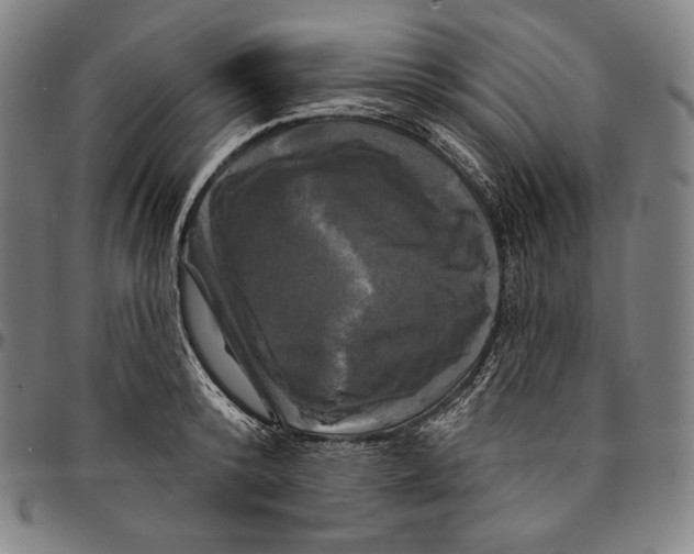 X0000095110800200801041159