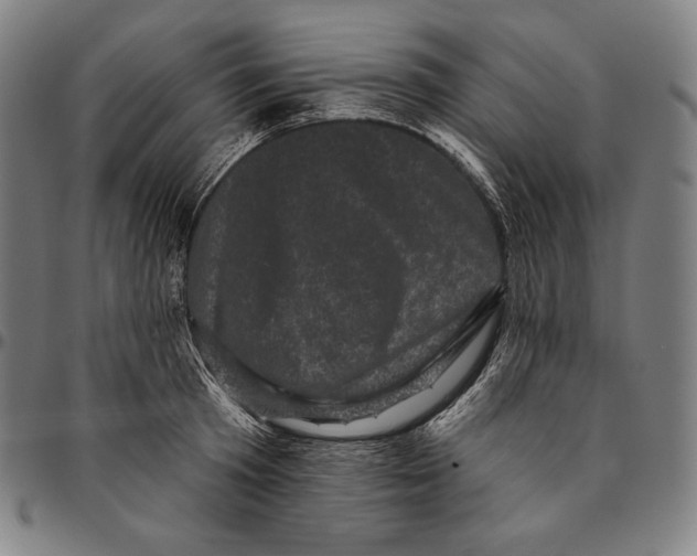X0000095110801200801041159