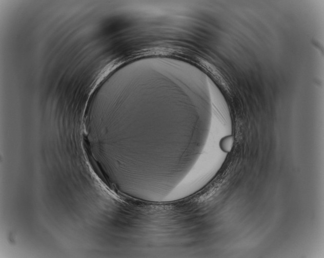 X0000095110802200801041159