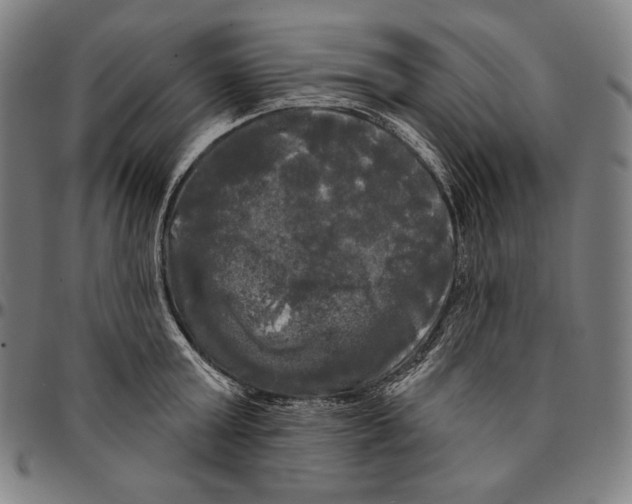 X0000095110803200801041159