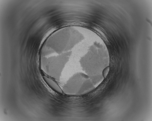 X0000095110804200801041159