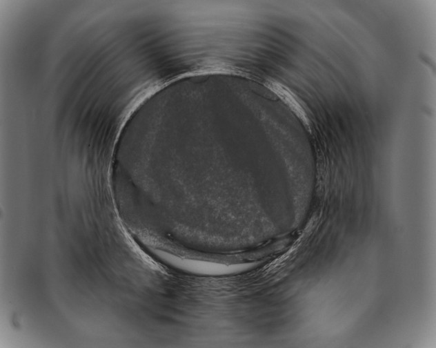 X0000095110805200801041159