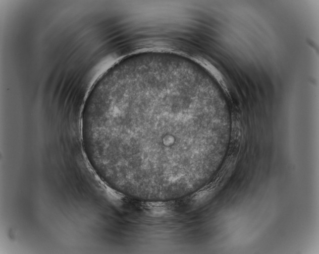 X0000095110807200801041159
