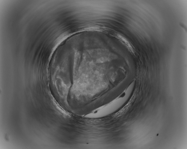X0000095110808200801041159