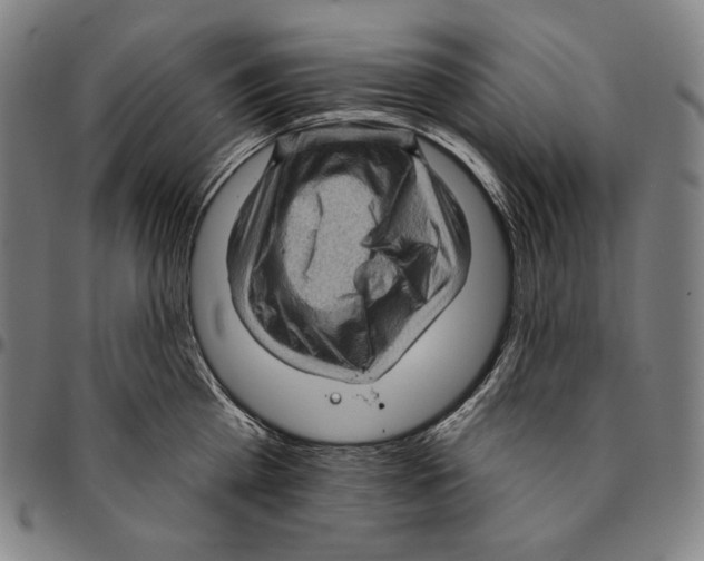 X0000095110809200801041159