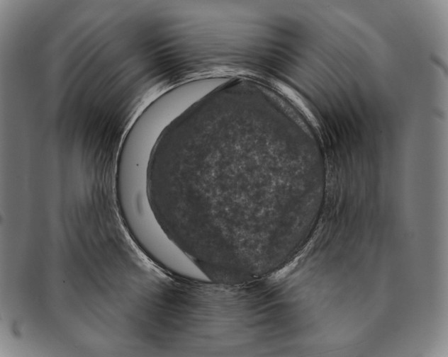 X0000095110810200801041159