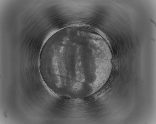 X0000095110811200801041159