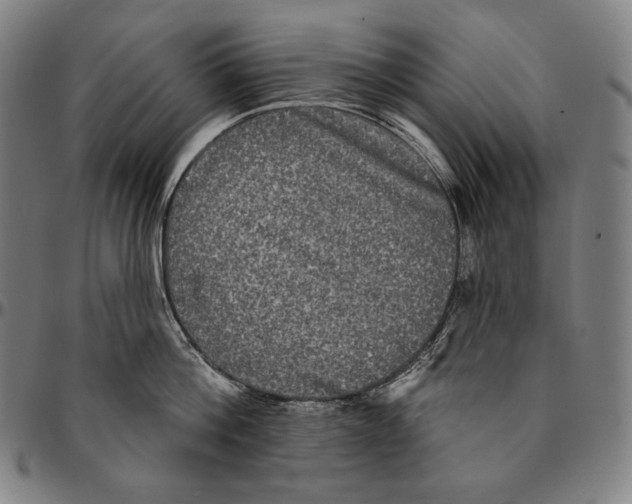 X0000095110812200801041159