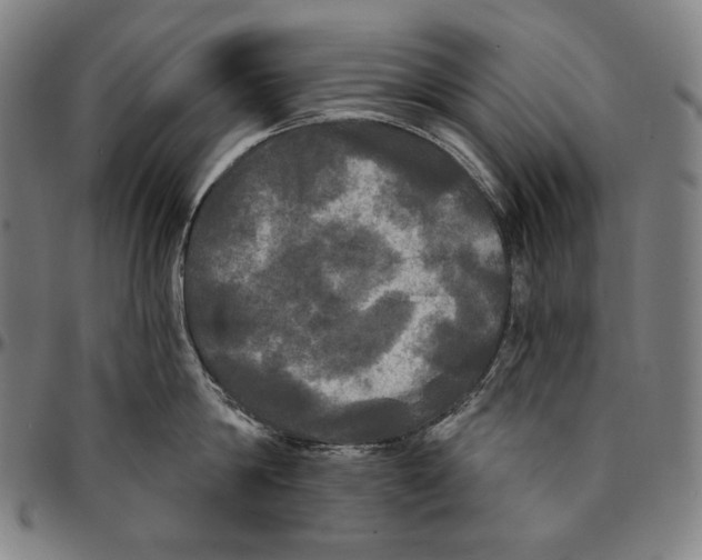 X0000095110814200801041159
