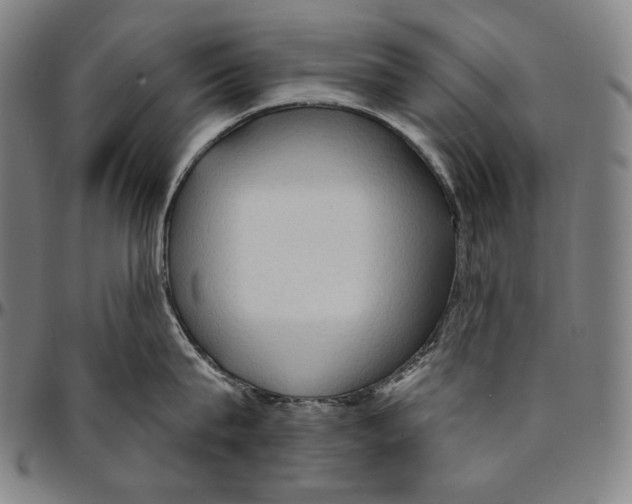 X0000095110815200801041159