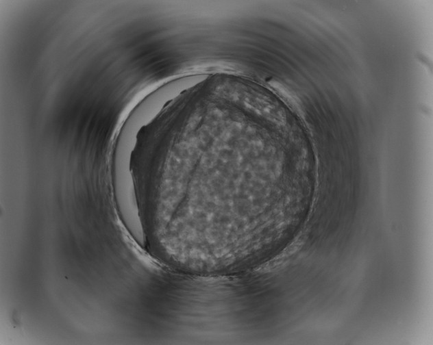 X0000095110816200801041159
