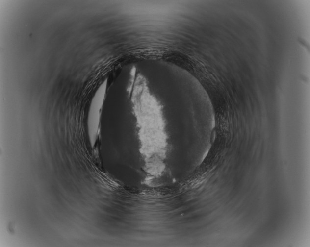 X0000095110818200801041158