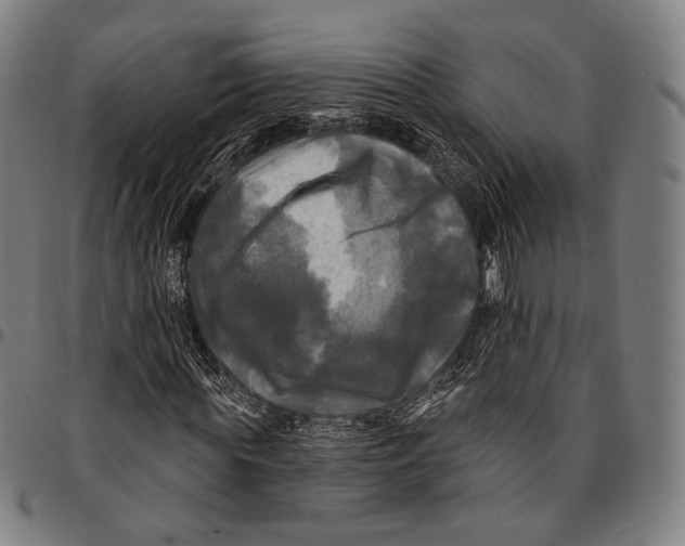 X0000095110819200801041158