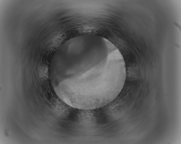 X0000095110820200801041158