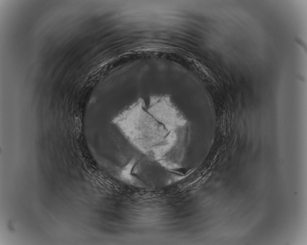 X0000095110821200801041158