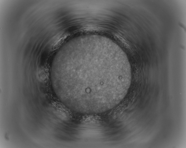 X0000095110824200801041158