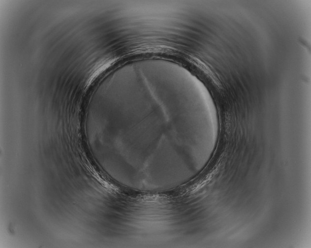 X0000095110826200801041158