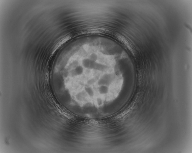 X0000095110827200801041158