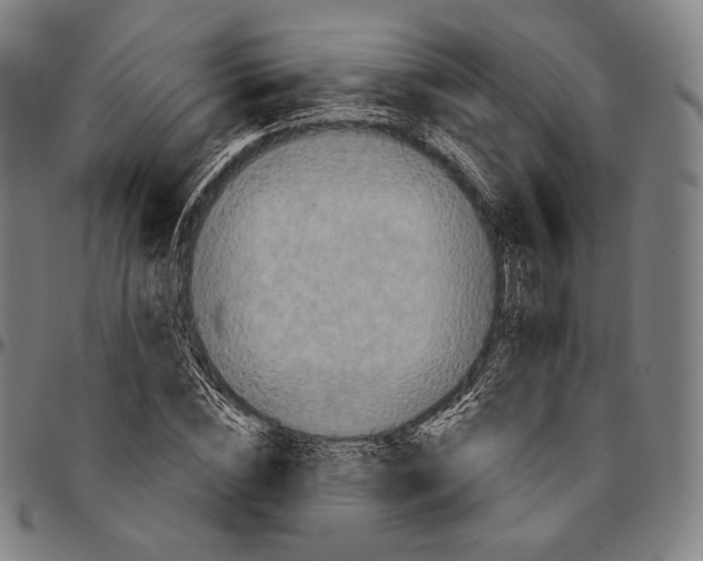 X0000095110828200801041158