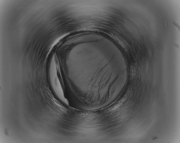 X0000095110830200801041158
