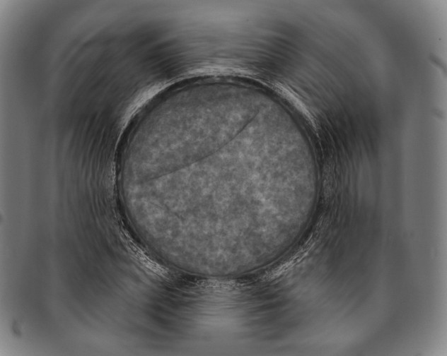 X0000095110831200801041158