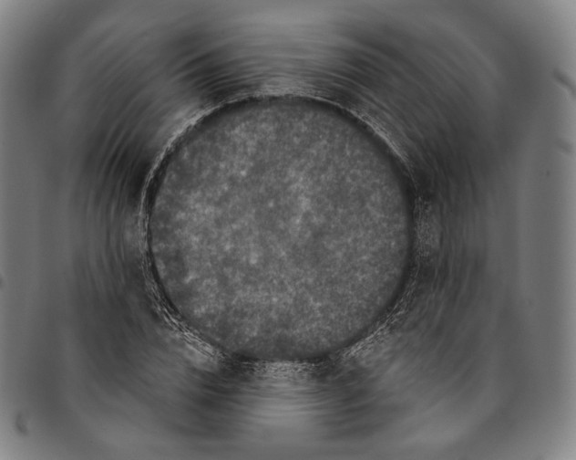X0000095110832200801041158