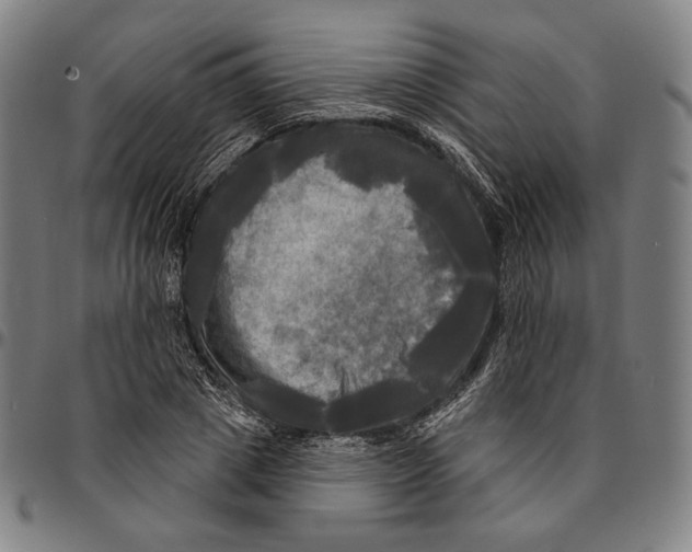 X0000095110833200801041158