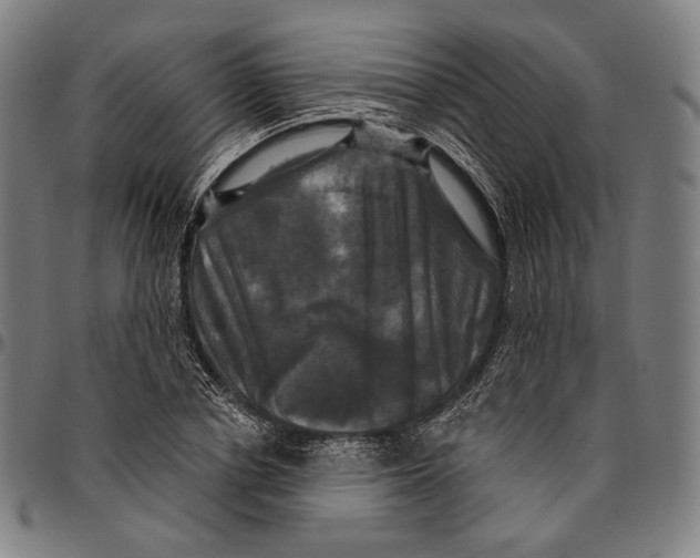 X0000095110834200801041158