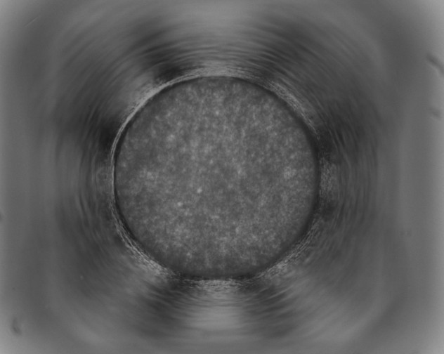 X0000095110836200801041158