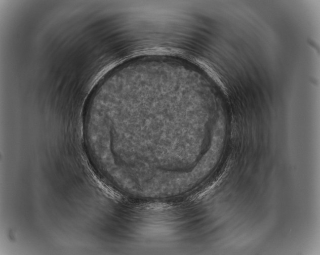 X0000095110837200801041158