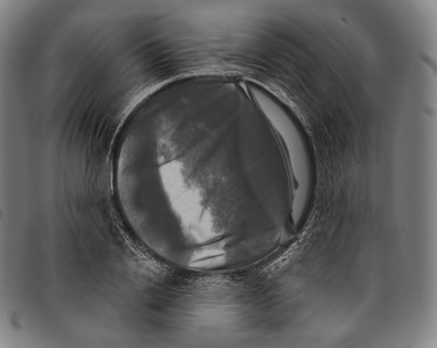 X0000095110838200801041158