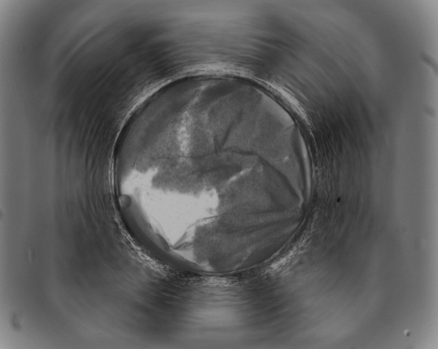 X0000095110839200801041158