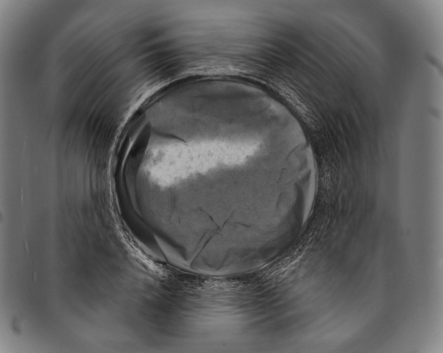 X0000095110840200801041158